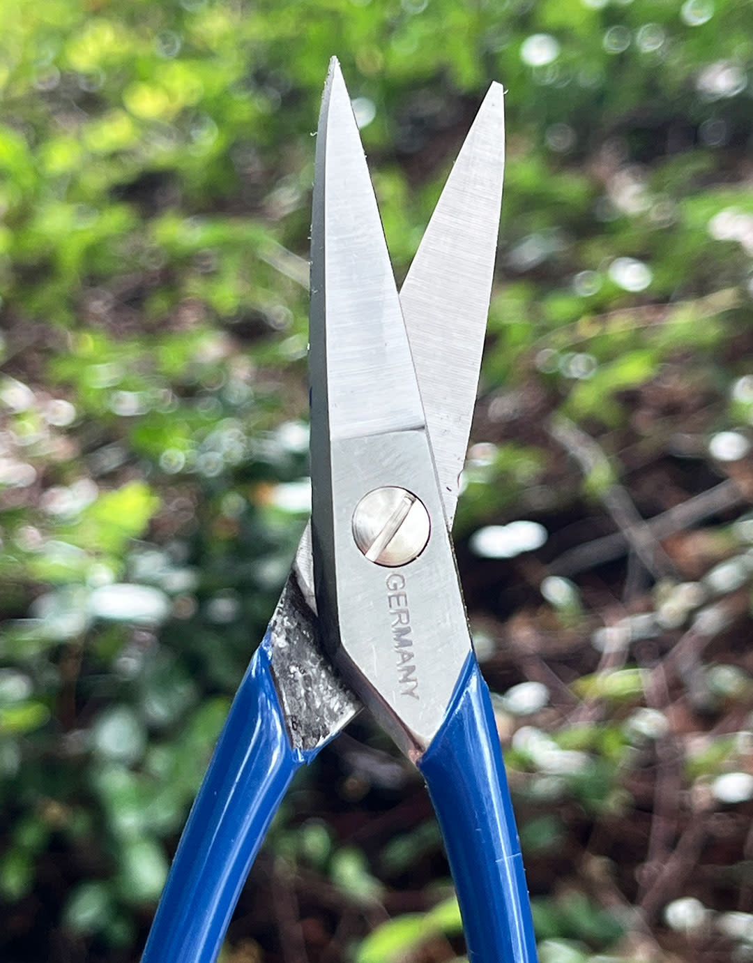 53.800 = Scissor Style Straight Jaw Shears