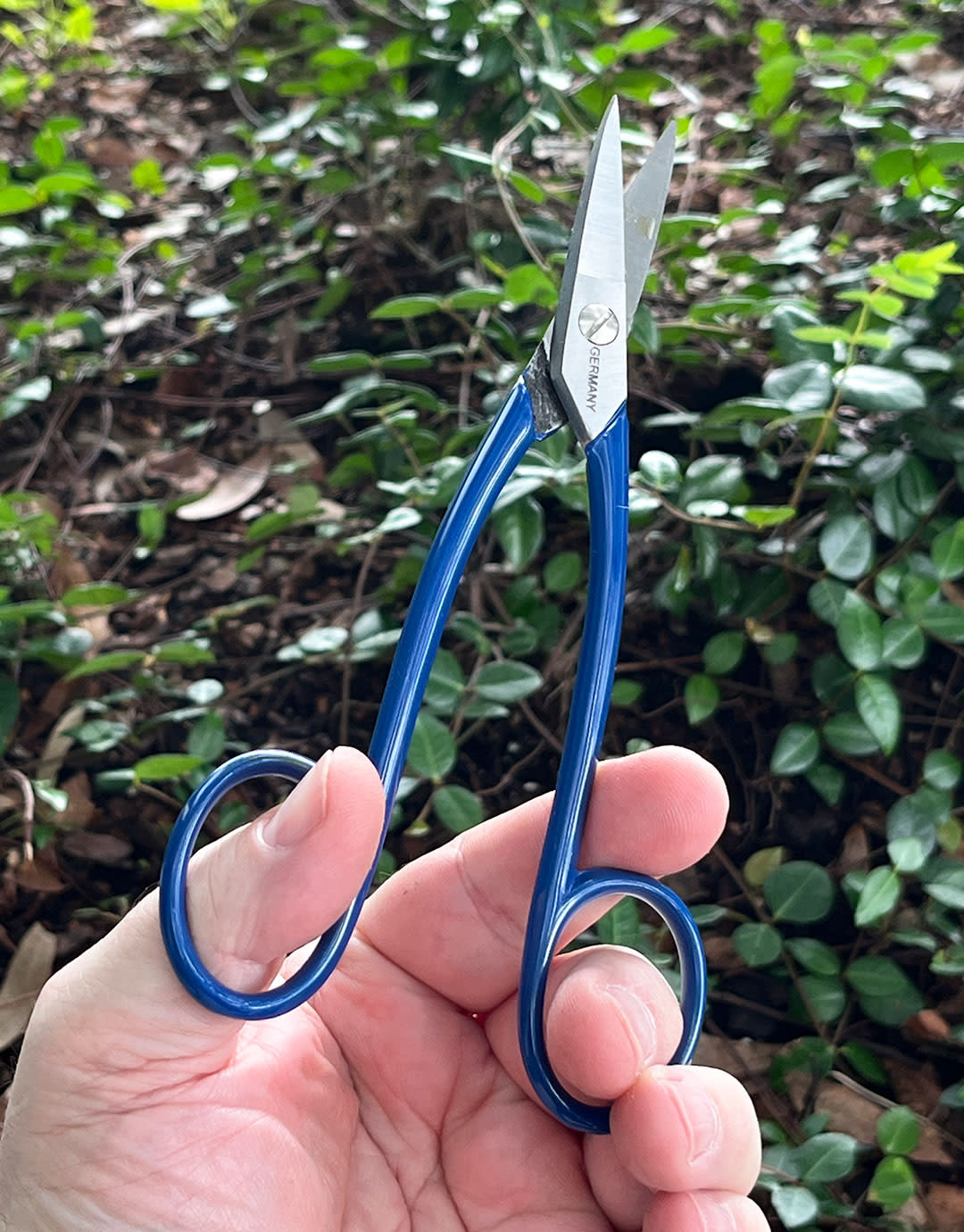 53.800 = Scissor Style Straight Jaw Shears