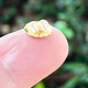 909-08 = Giant Friction Earring Back 14KY Gold