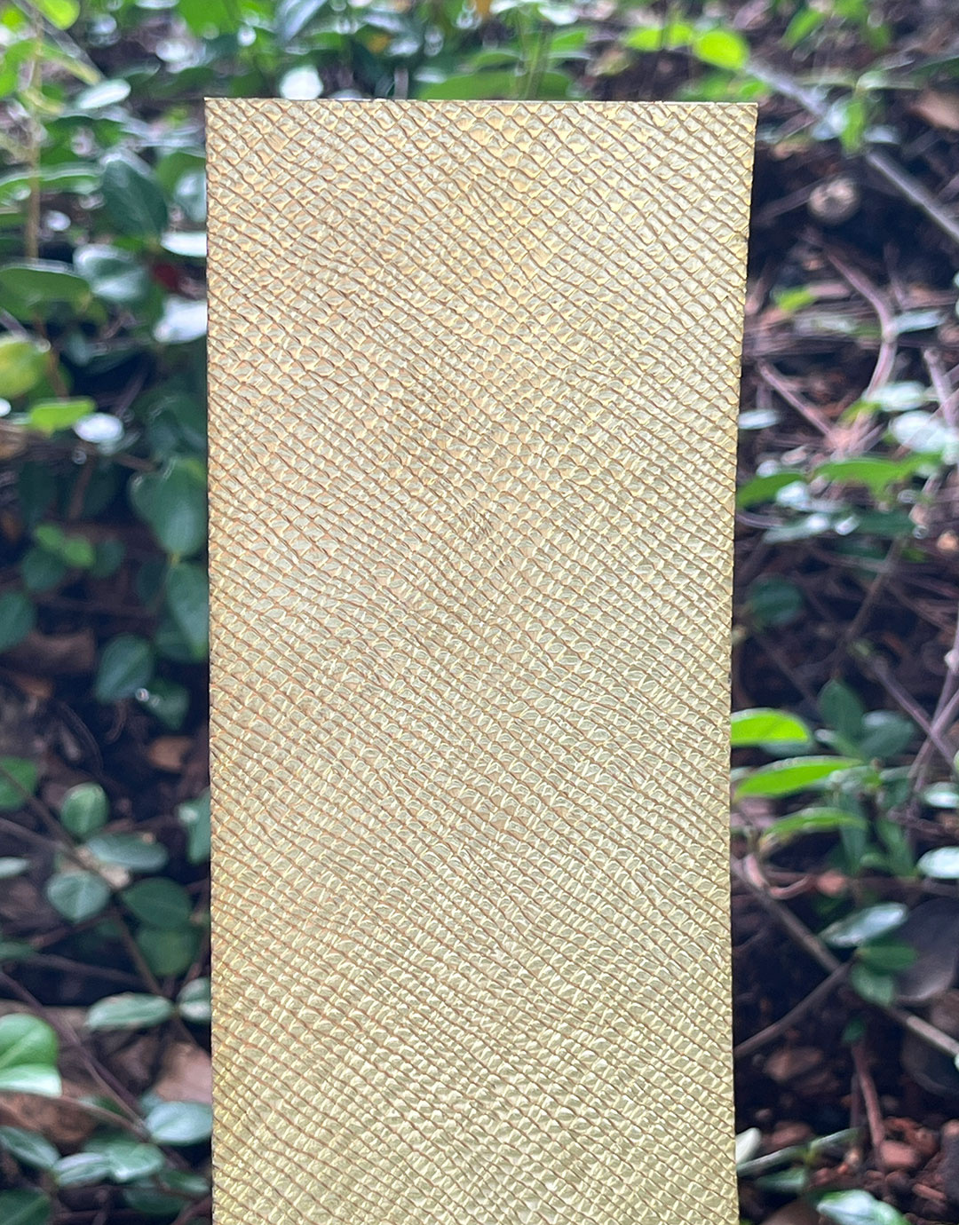 BSP263 "Snakeskin" Patterned Brass Sheet 2-1/2" Wide