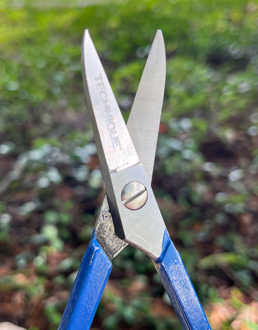 53.806 = Straight Metal Shear with Spring