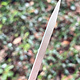 PEPE Tools 54.779 = ErgoLast Titanium Solder Pick