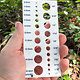 DP126 = Acrylic Draw Plate 22 Holes