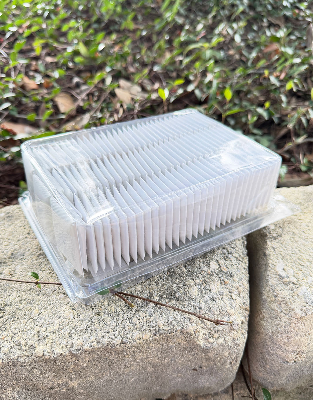 DER8023 = White Plastic Puff Pad 1-1/2''x1-3/4'' with Imprint ''Sterling'' (Pkg of 100)