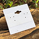 DER810 = Hanging Earring Cards White 2'' Plain (Pkg of 100)
