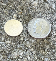 MSN10224 = NICKEL SILVER SHAPE - ROUND 24ga 1/2''  (Pkg of 6)