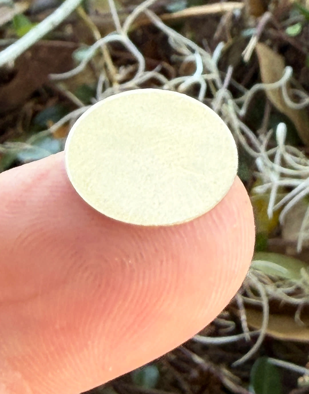 MSN10224 = NICKEL SILVER SHAPE - ROUND 24ga 1/2''  (Pkg of 6)