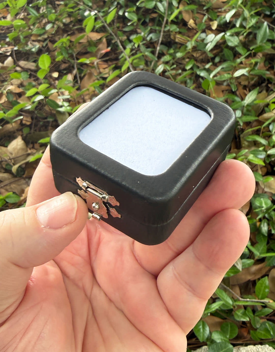 DST1009 = Glass Top Gem Box with Clasp