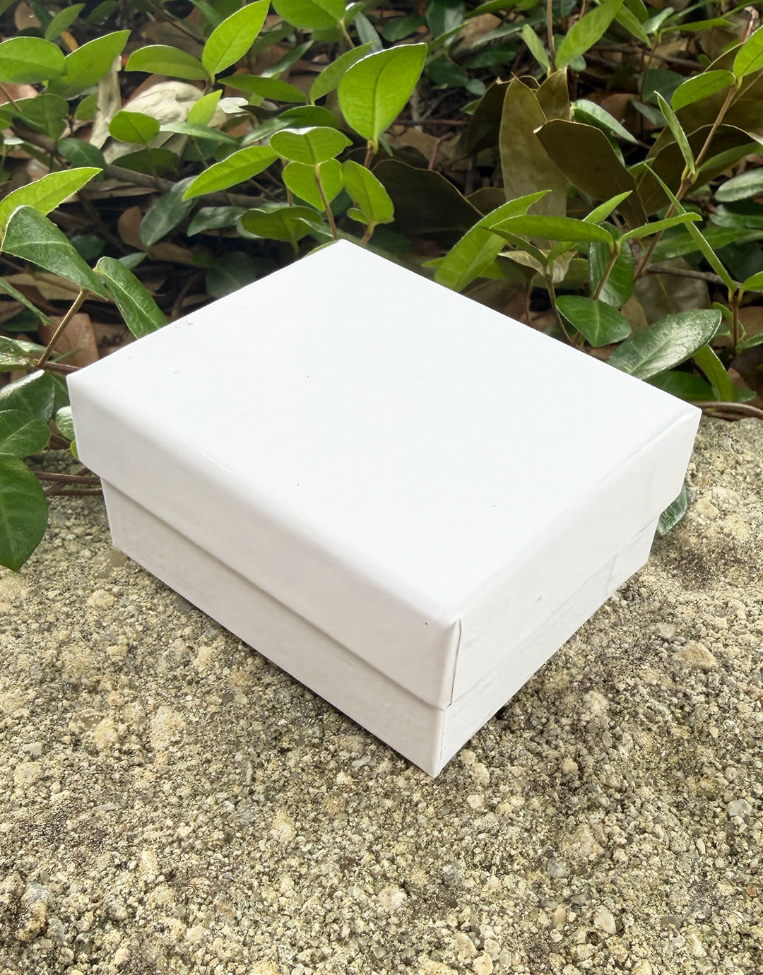 DST1009 = Glass Top Gem Box with Clasp