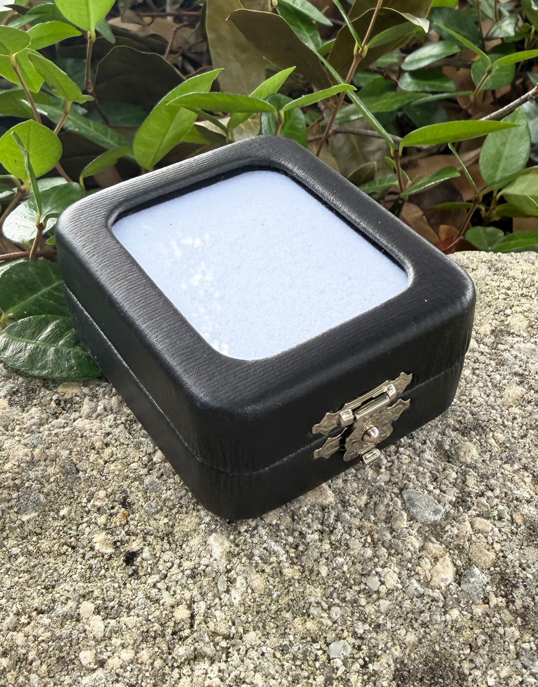 DST1009 = Glass Top Gem Box with Clasp