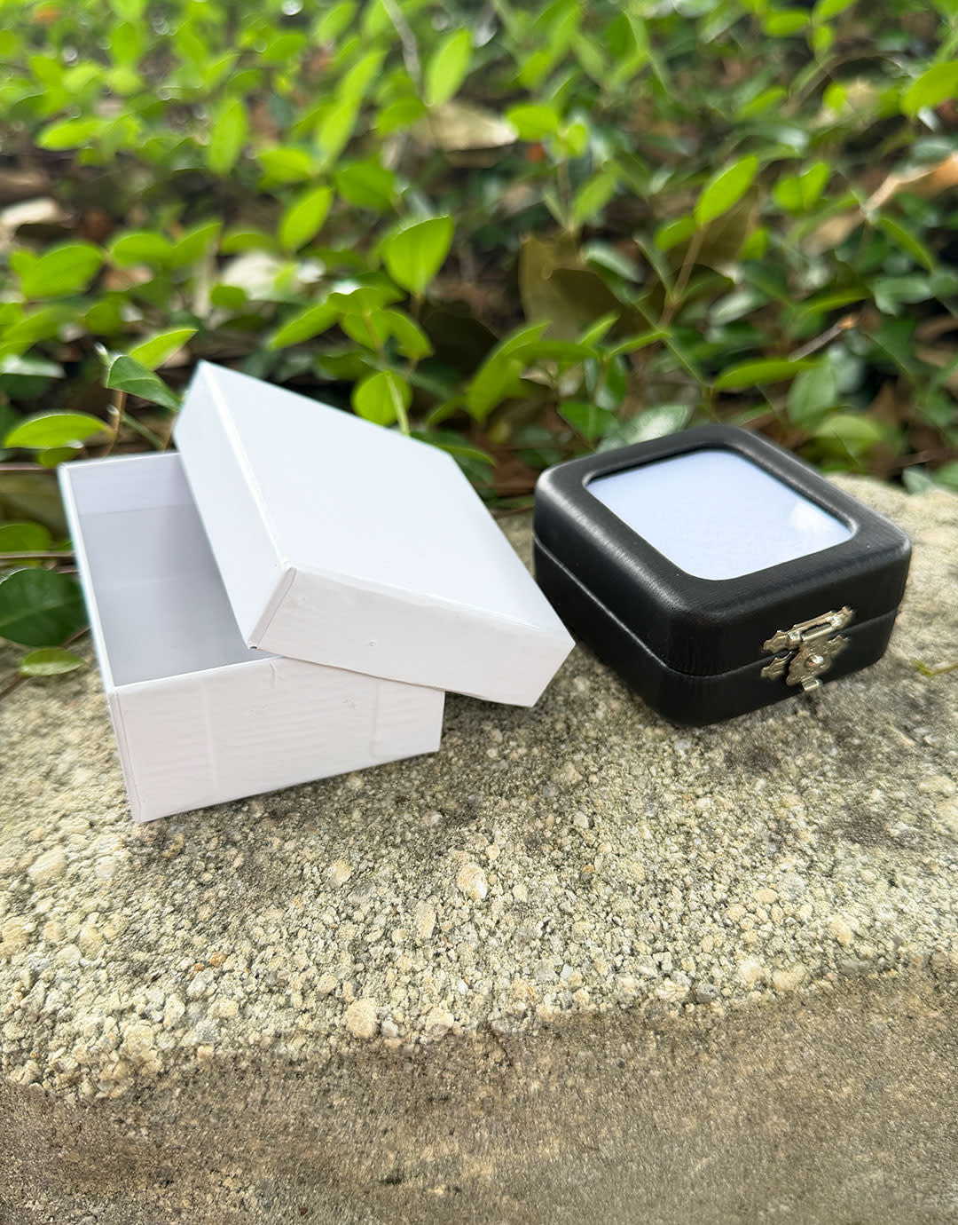 DST1009 = Glass Top Gem Box with Clasp