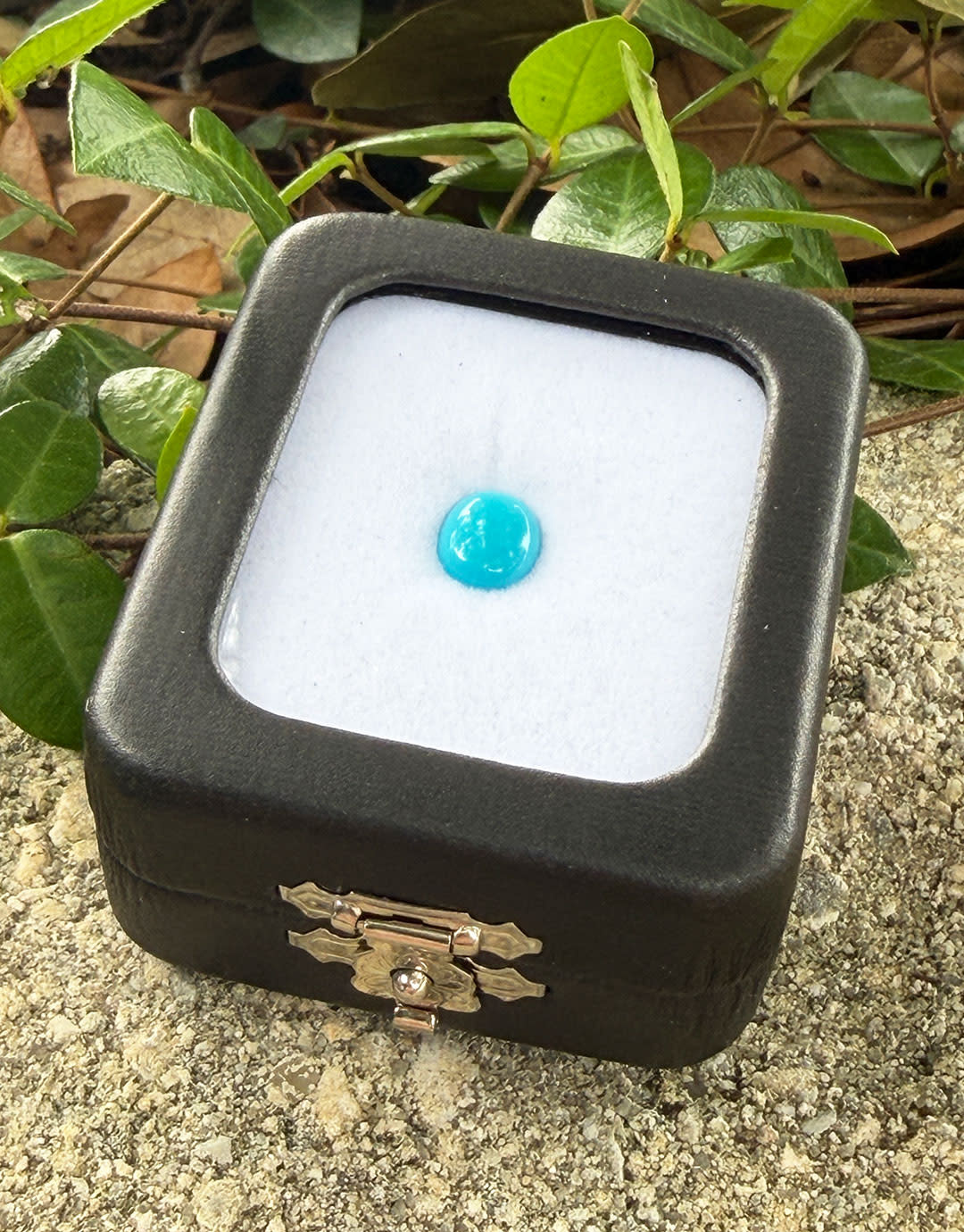 DST1009 = Glass Top Gem Box with Clasp