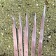 TW2256 = Tweezer Set Non-Magnetic 5pcs (#SS, 3, 5, 5A, 7)