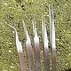 TW2256 = Tweezer Set Non-Magnetic 5pcs (#SS, 3, 5, 5A, 7)