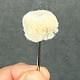 BF5704 = Mounted Cotton String Buff 1" dia. (Pkg/3)