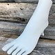 DIS9022W = FOOT DISPLAY POLYSTYRENE WHITE  FOR ANKLETS/TOE RINGS