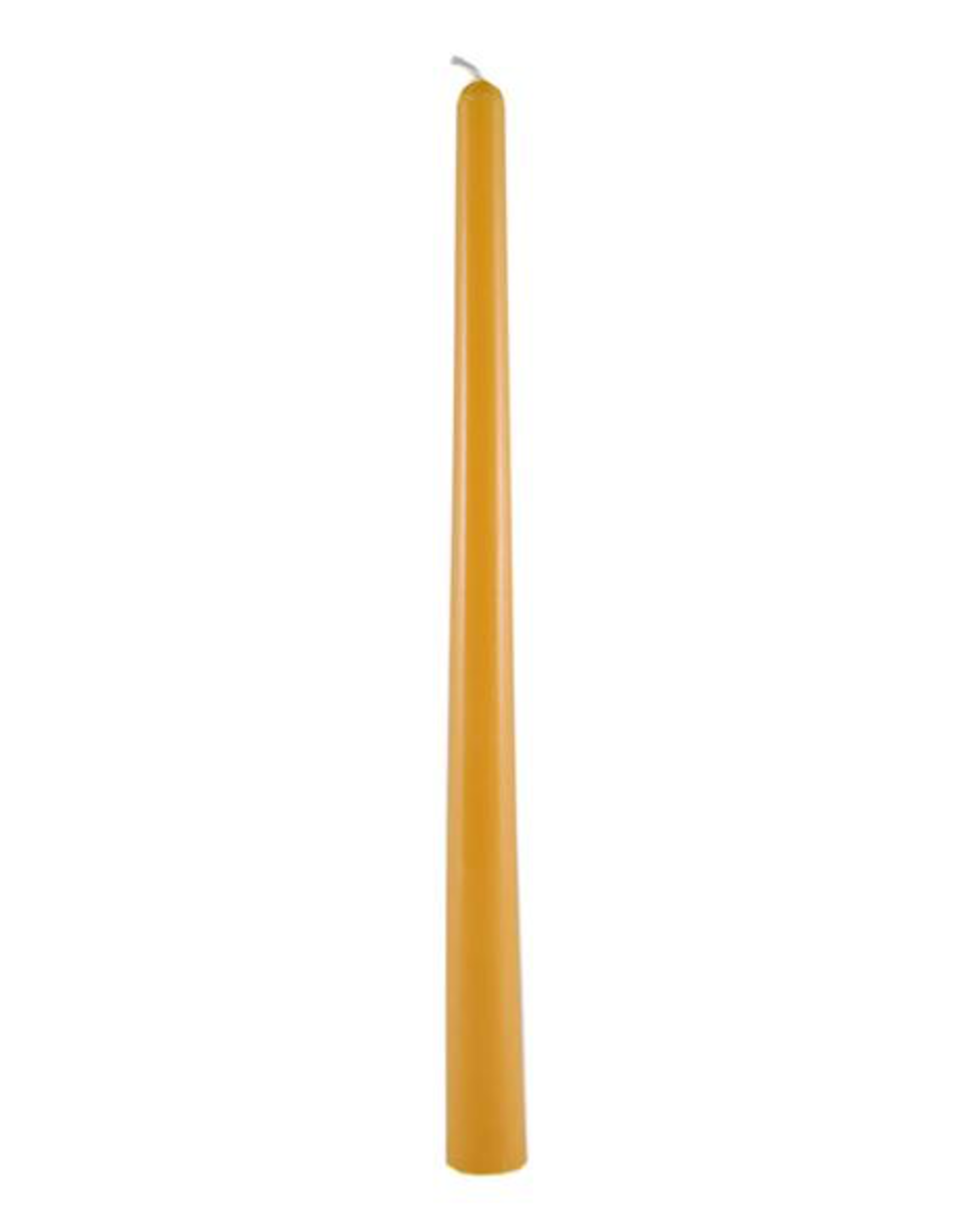 Beeswax 12" Taper