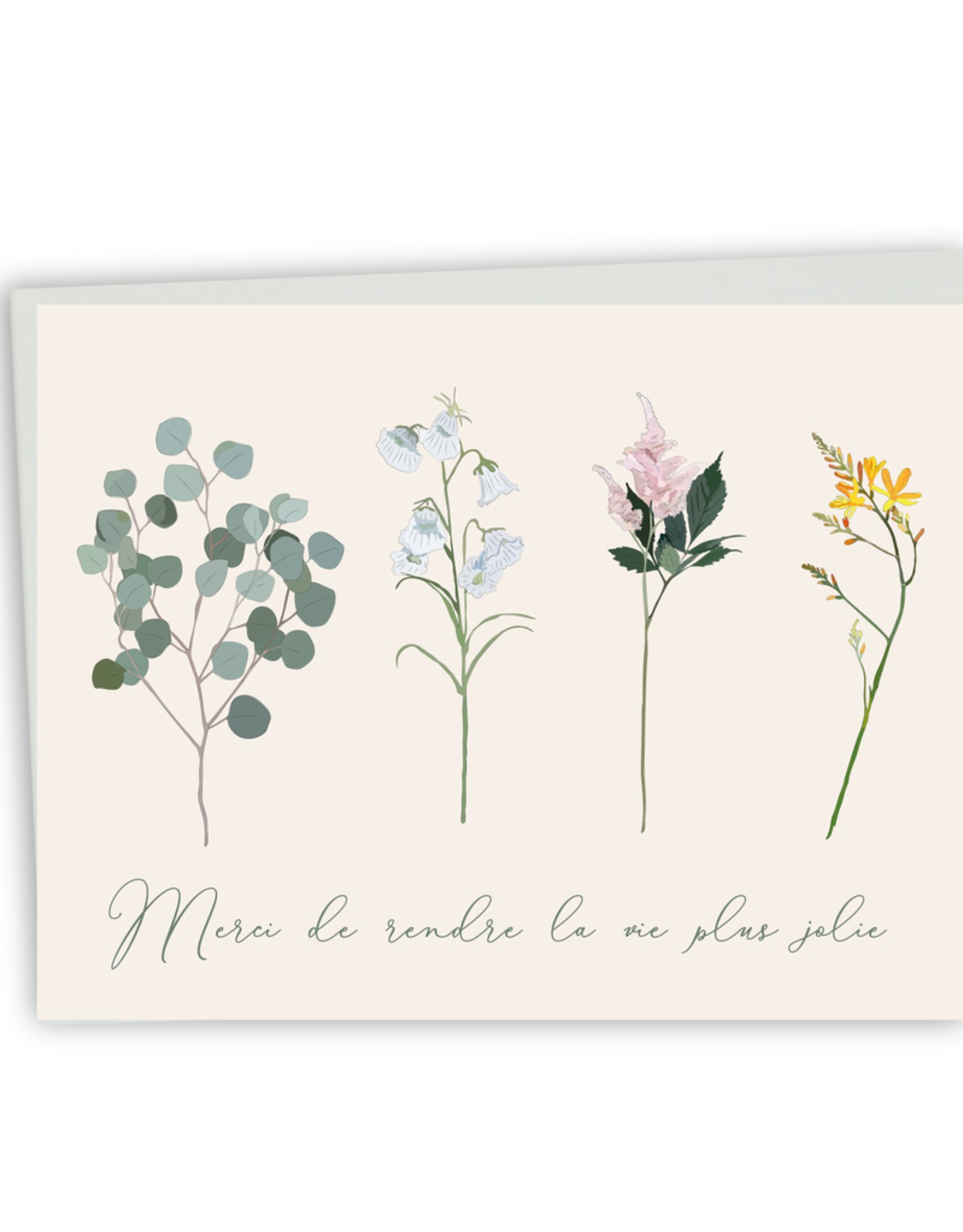 Merci