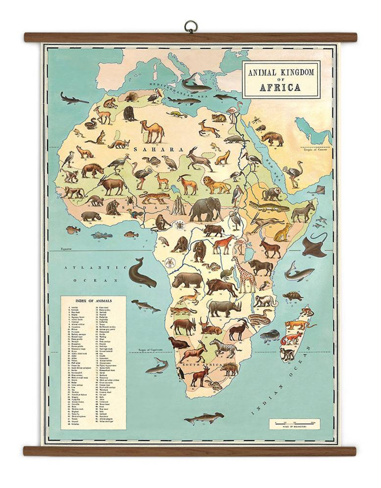 Vintage Style School Chart - Animal Kingdom