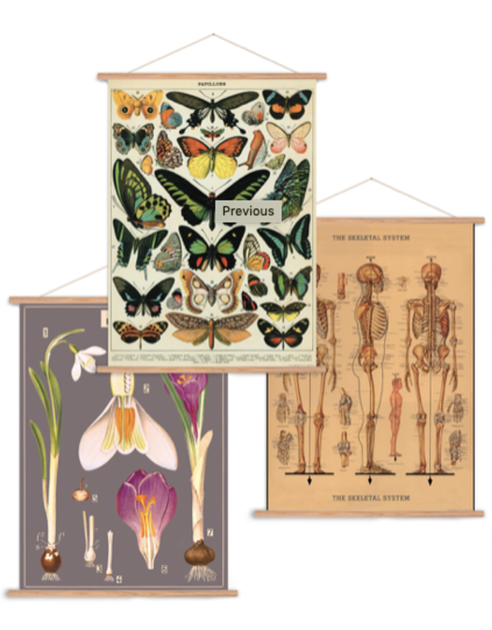 DIY Poster Hanging Kit - Vertical