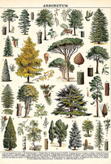 Poster Wrap Sheet - Arboretum