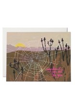 Spider Web