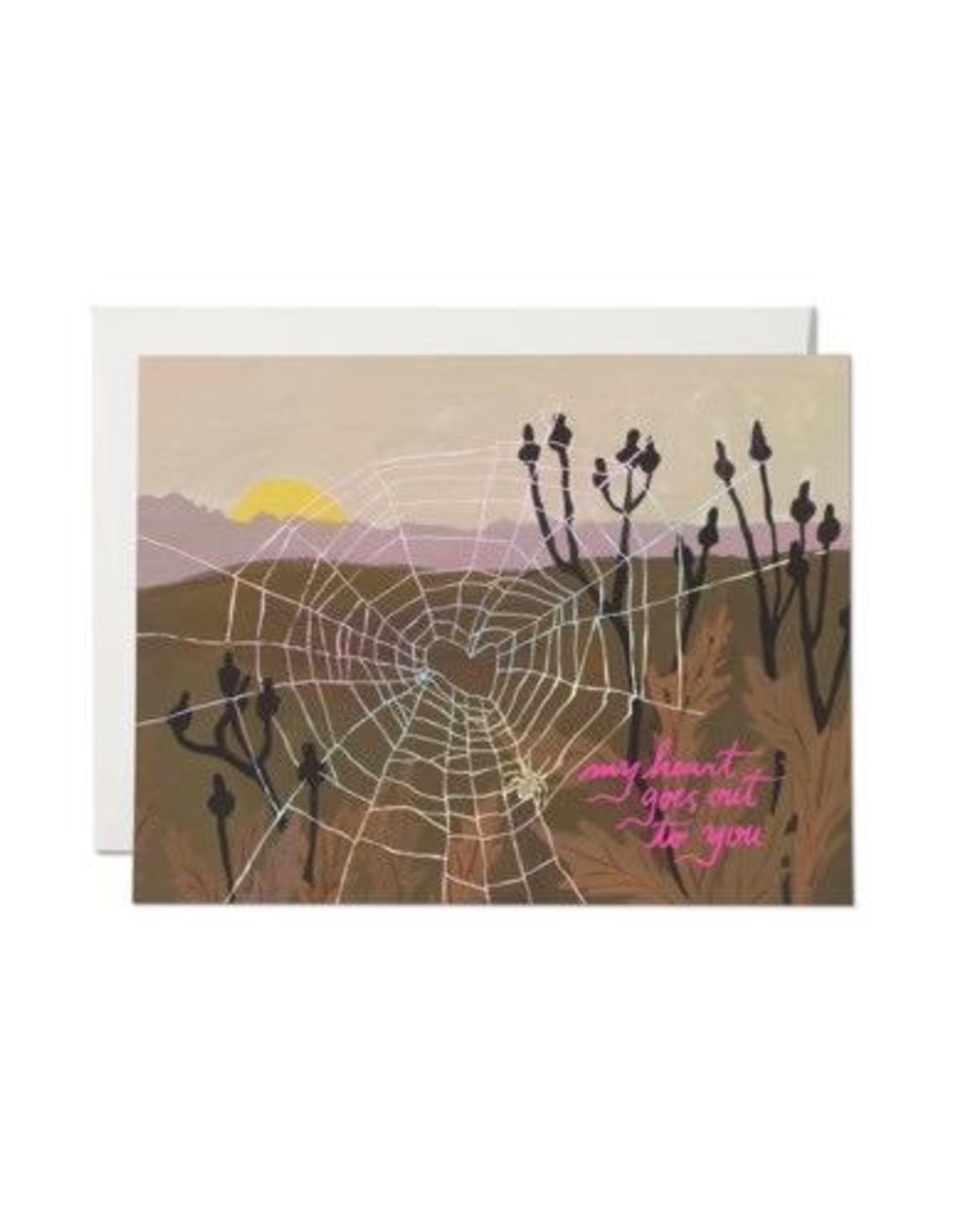 Spider Web