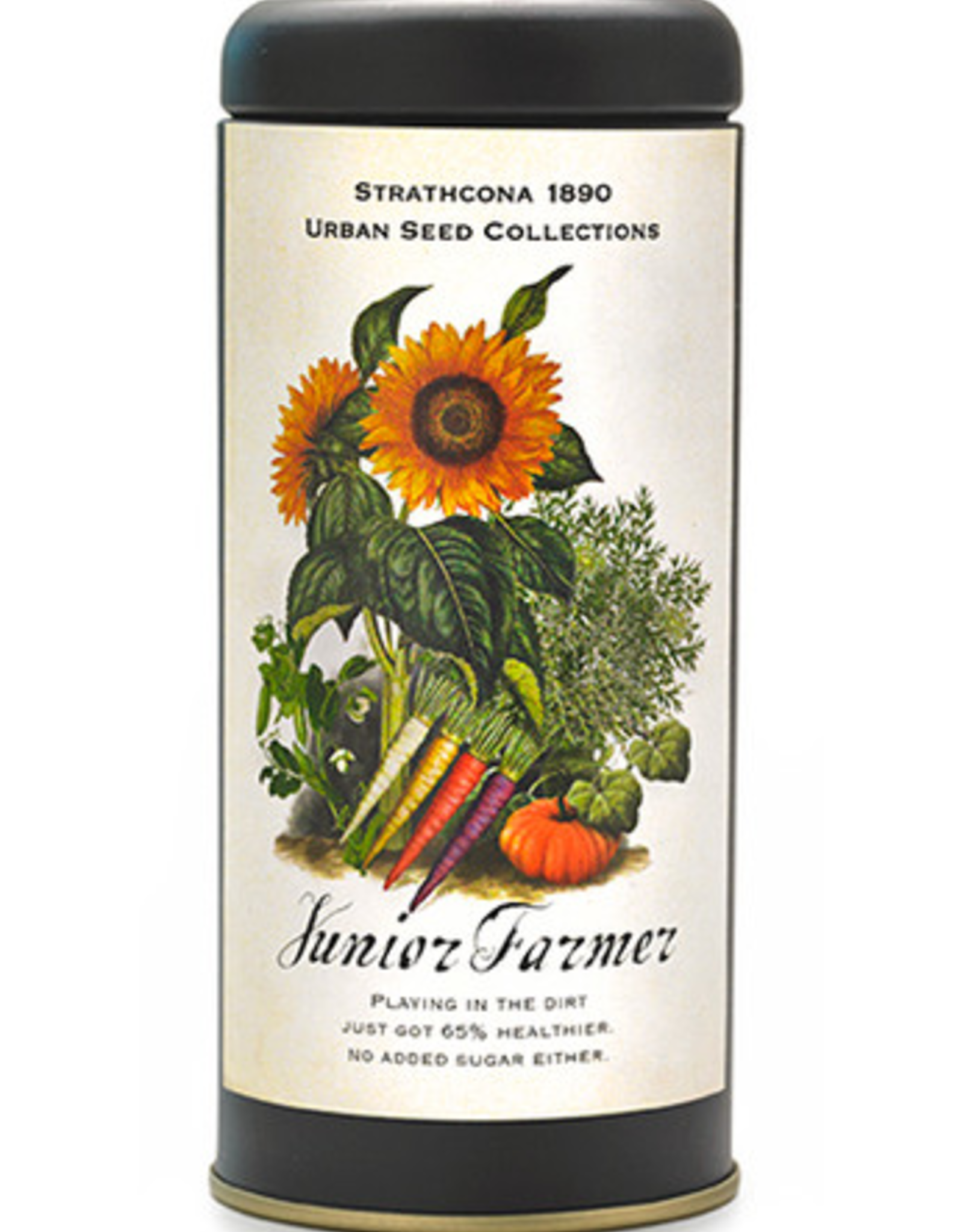 Junior Farmer Seed Kit Large