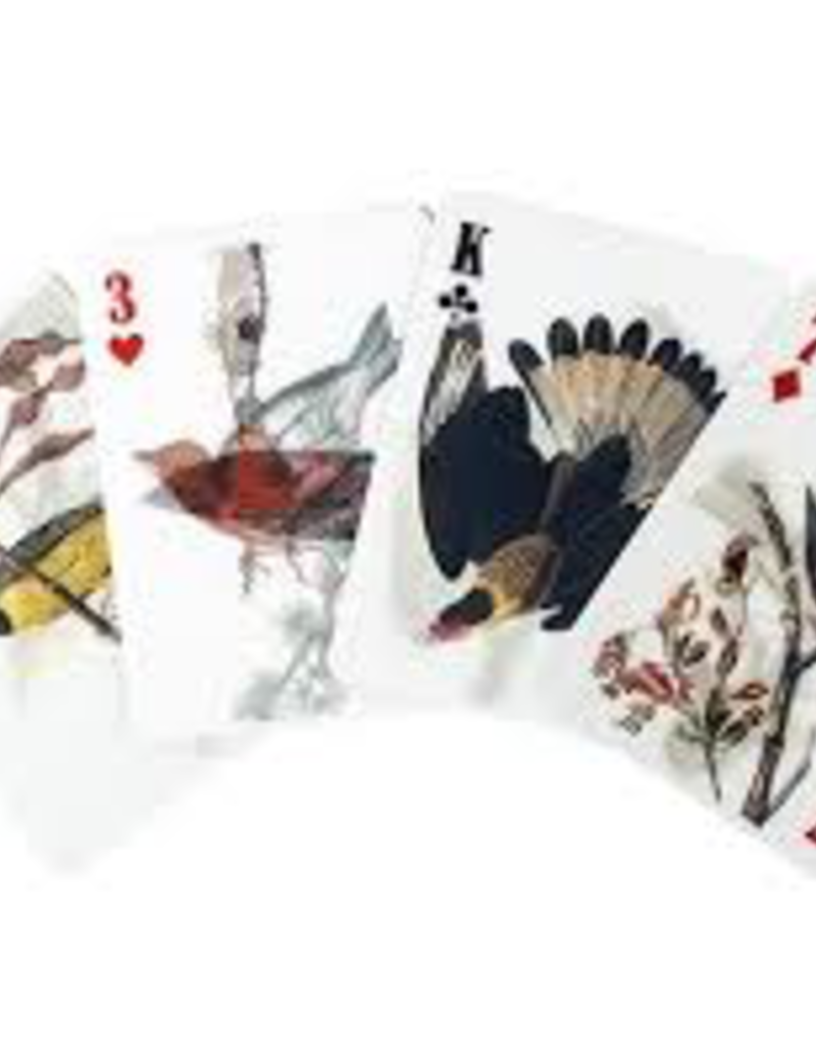 3D Bird Playing Cards