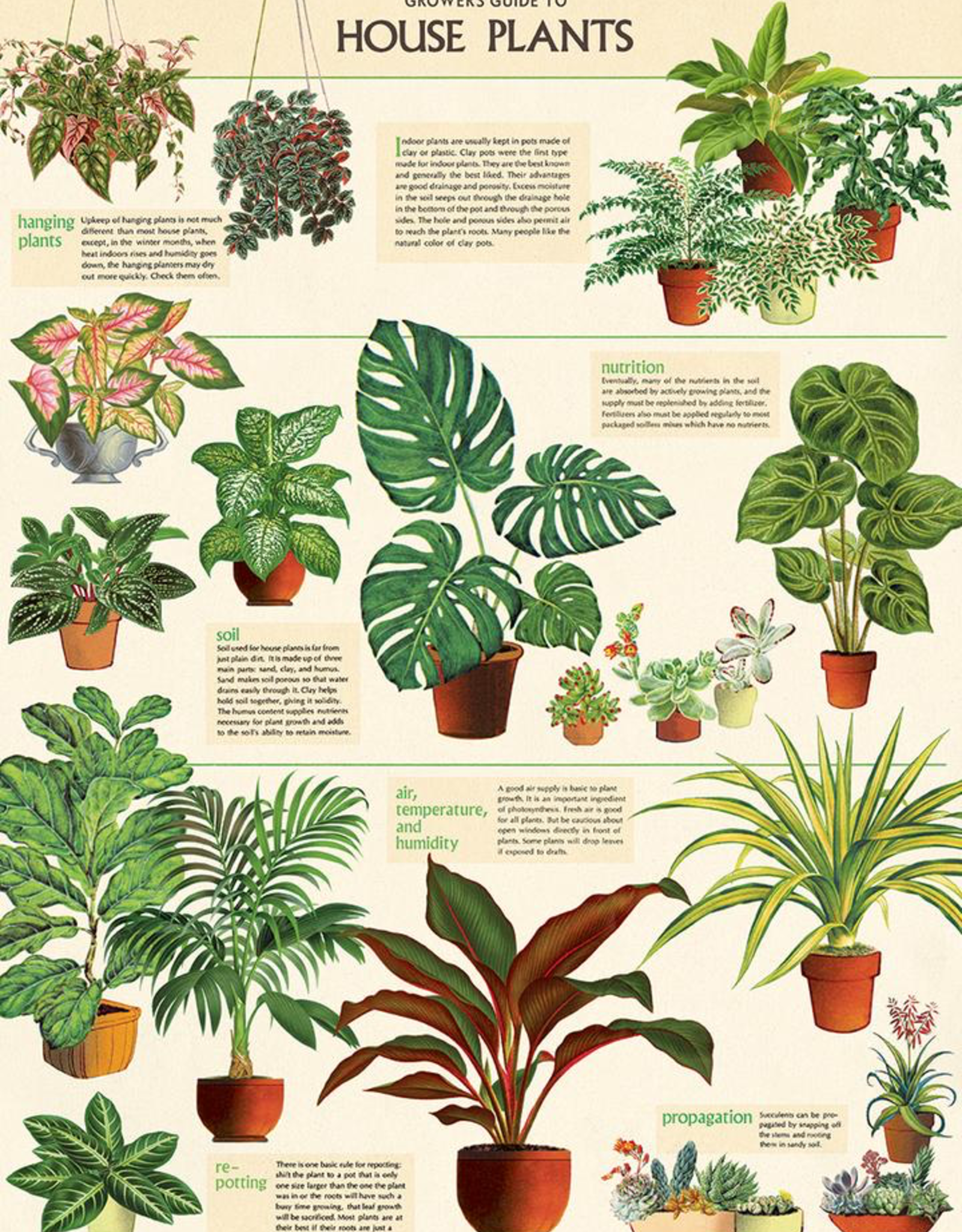 House Plants Poster Wrap