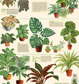 House Plants Poster Wrap