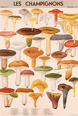 Mushrooms Poster Wrap