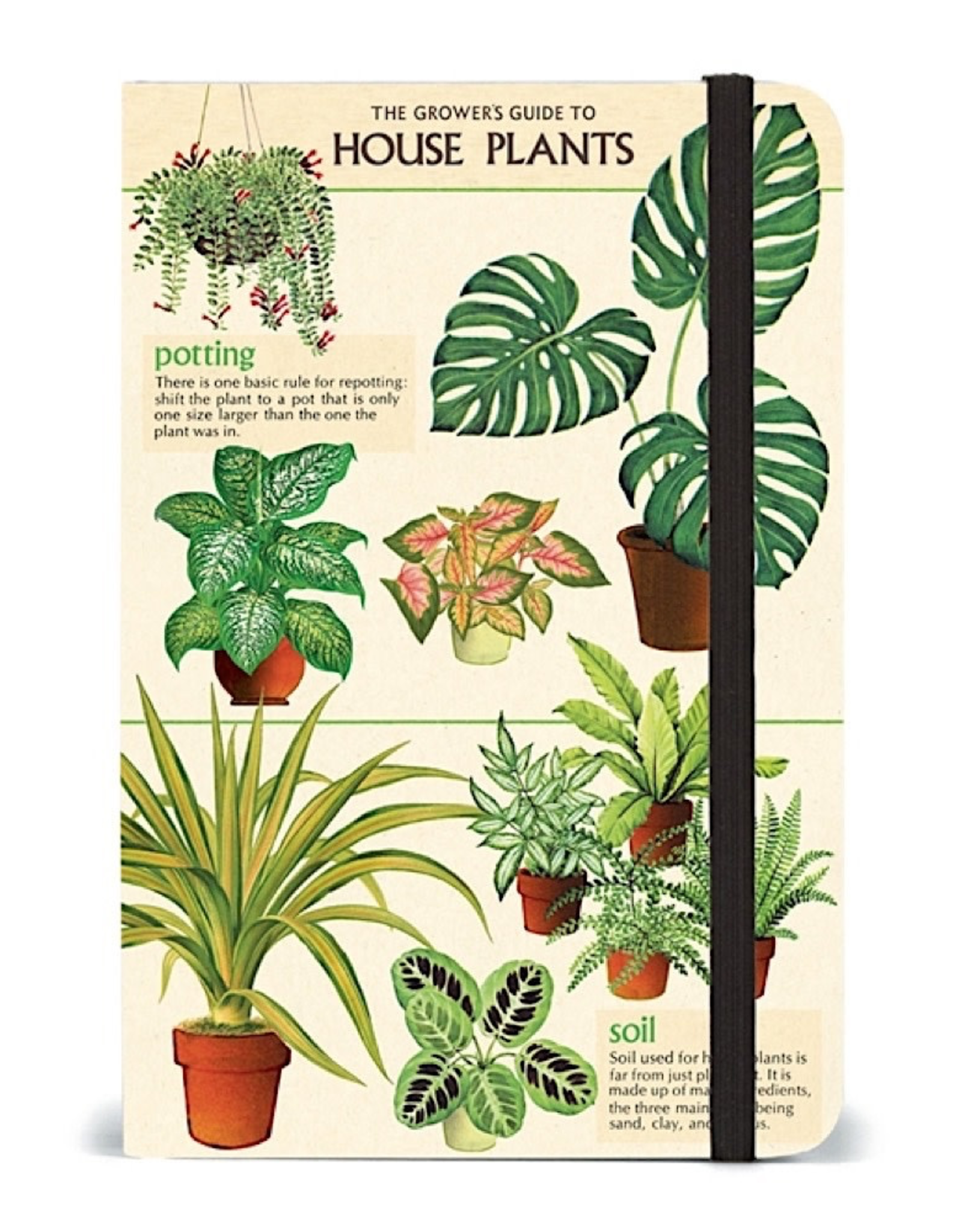 House Plants Notebook Small
