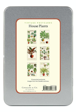 Houseplants Postcard Set