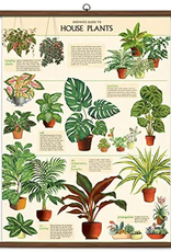 House Plants Vintage Style School Chart