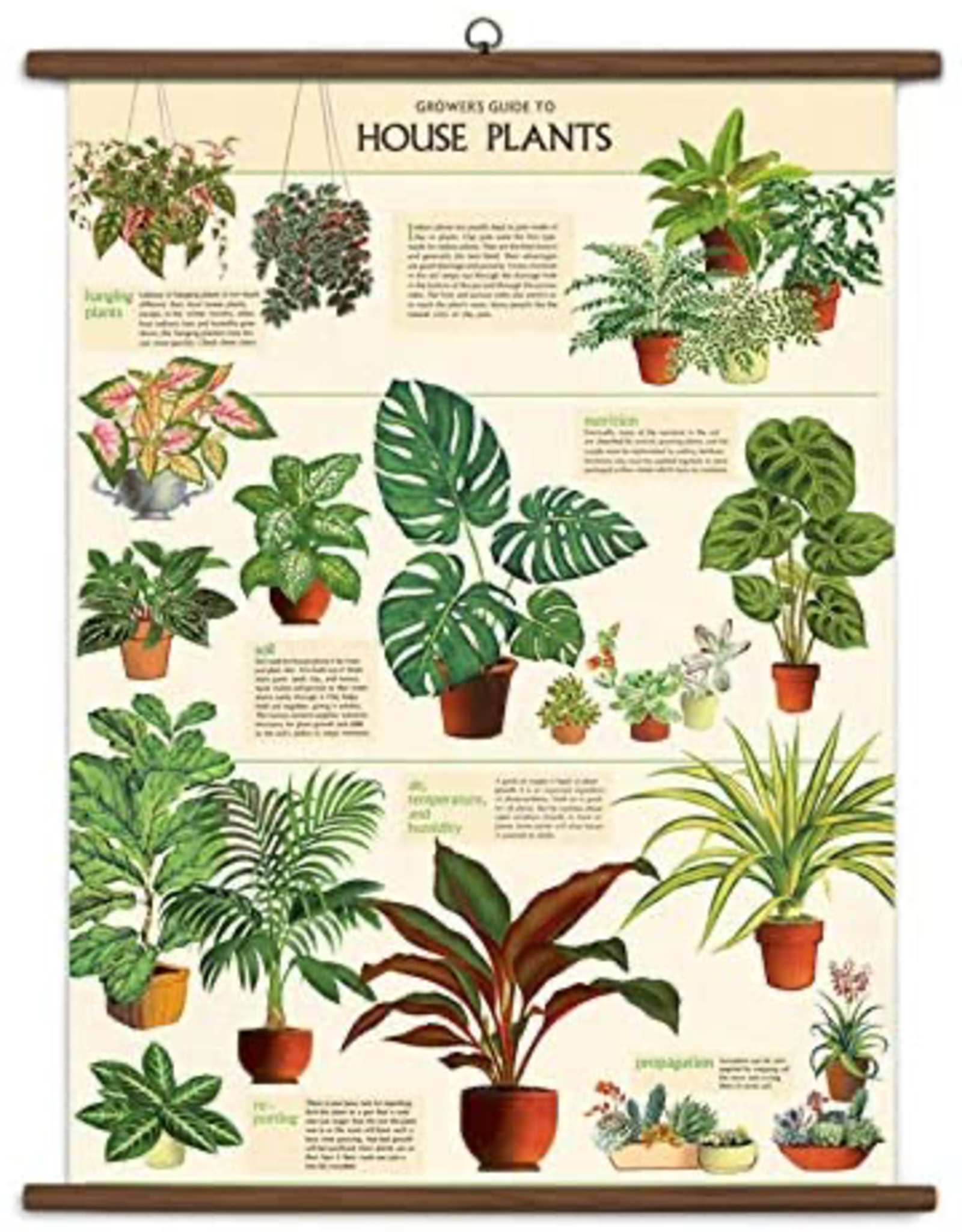 House Plants Vintage Style School Chart