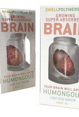 Growing Brain Toy