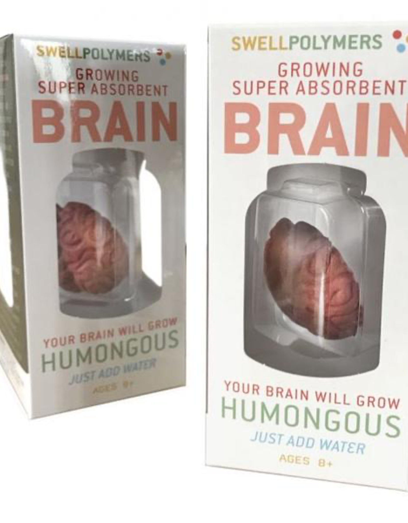 Growing Brain Toy