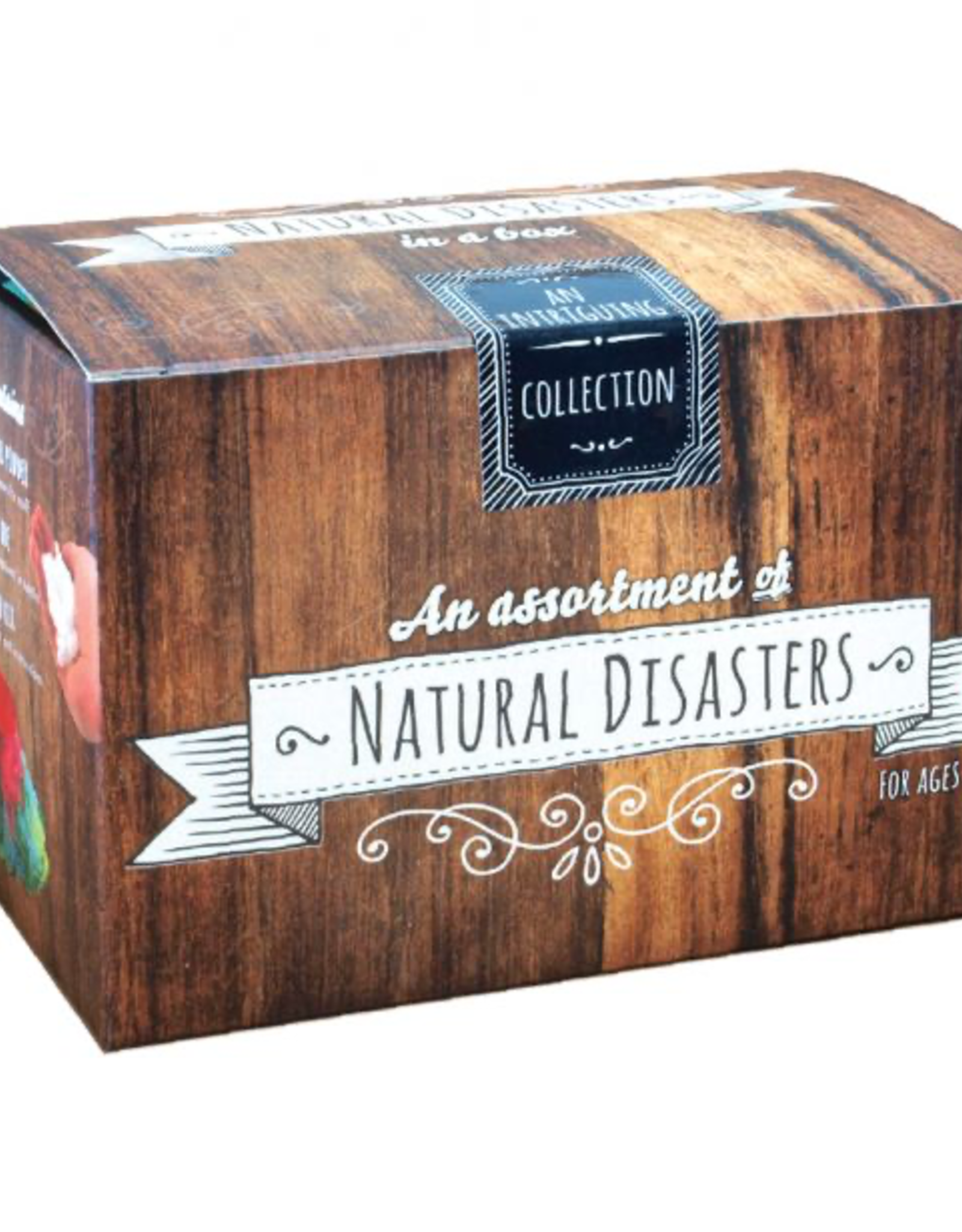 Cabinet Of Natural Disasters