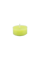 Tealight Kiwi