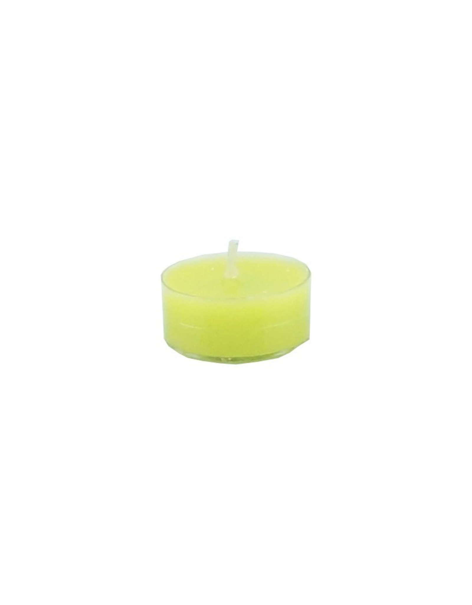 Tealight Kiwi
