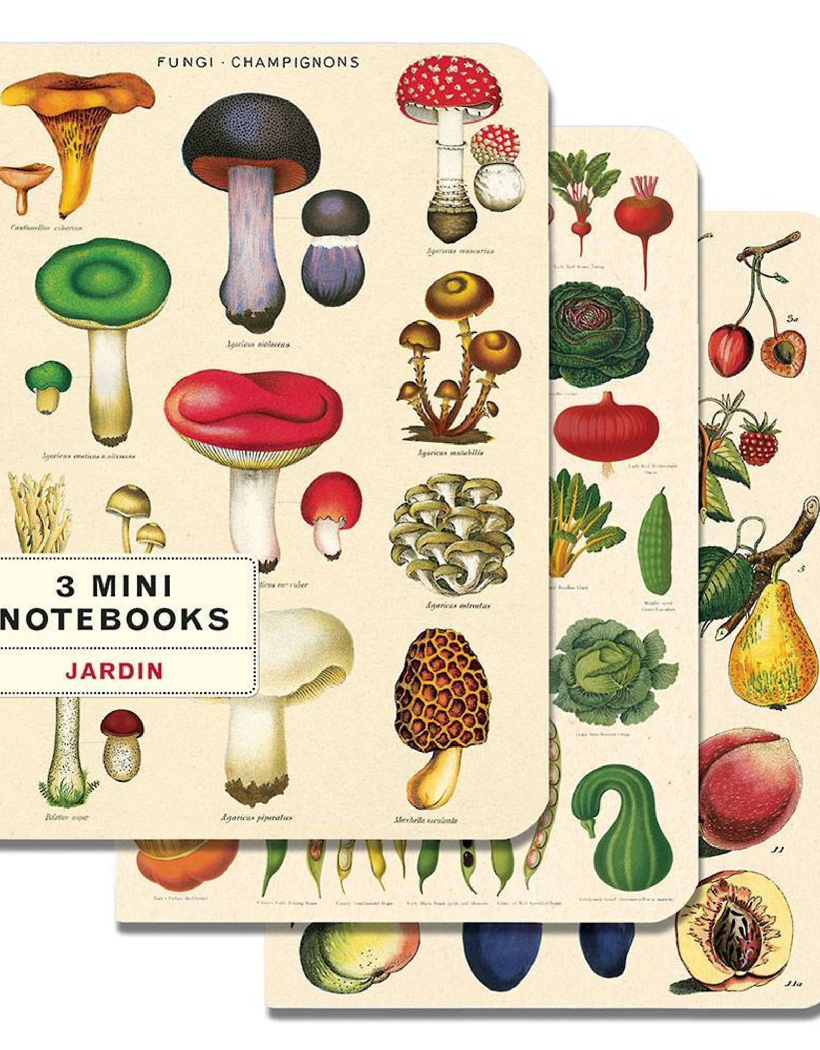 Le Jardin Mini Notebook Set