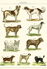 Dog Chart Poster Wrap
