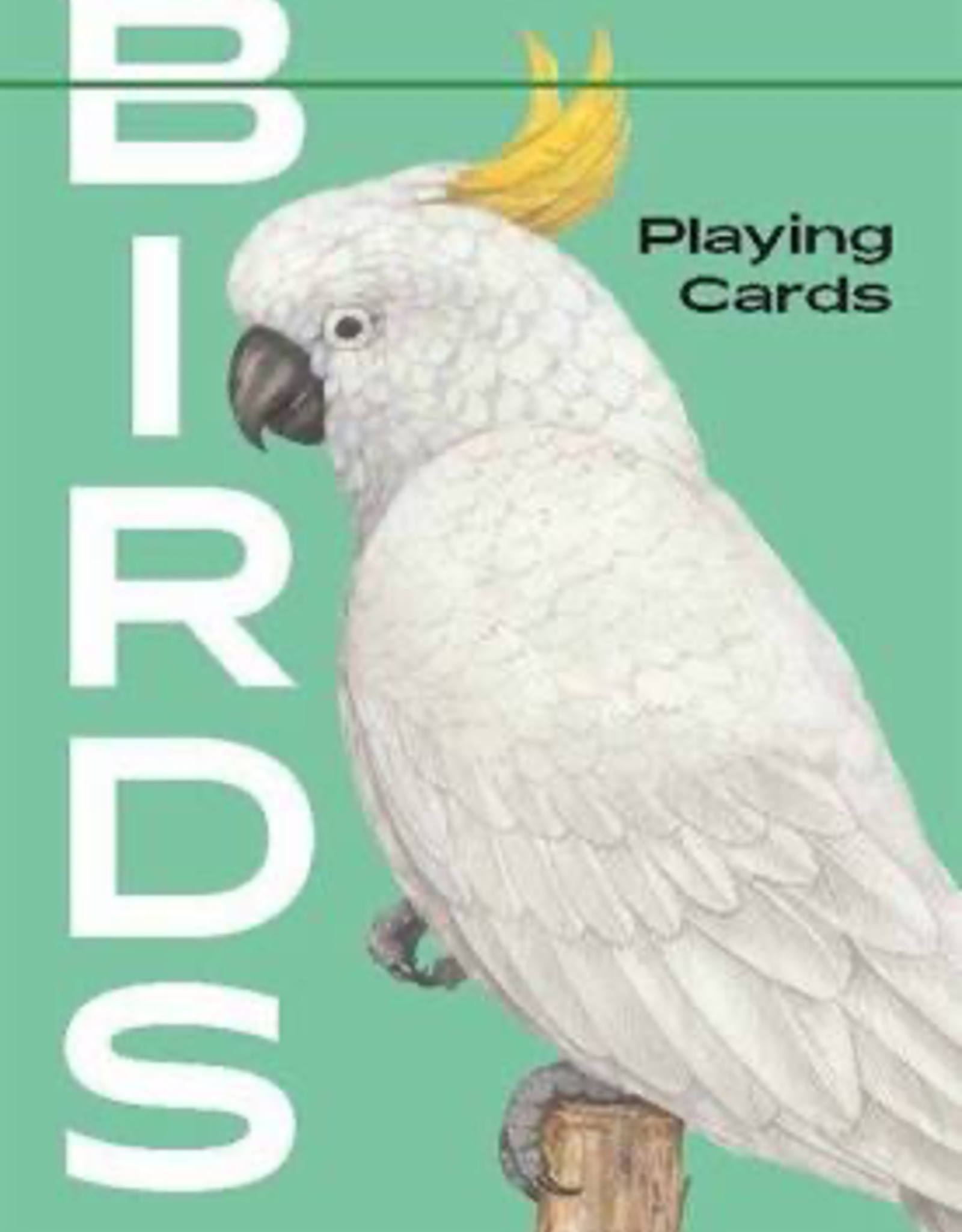 Birds Playing Cards