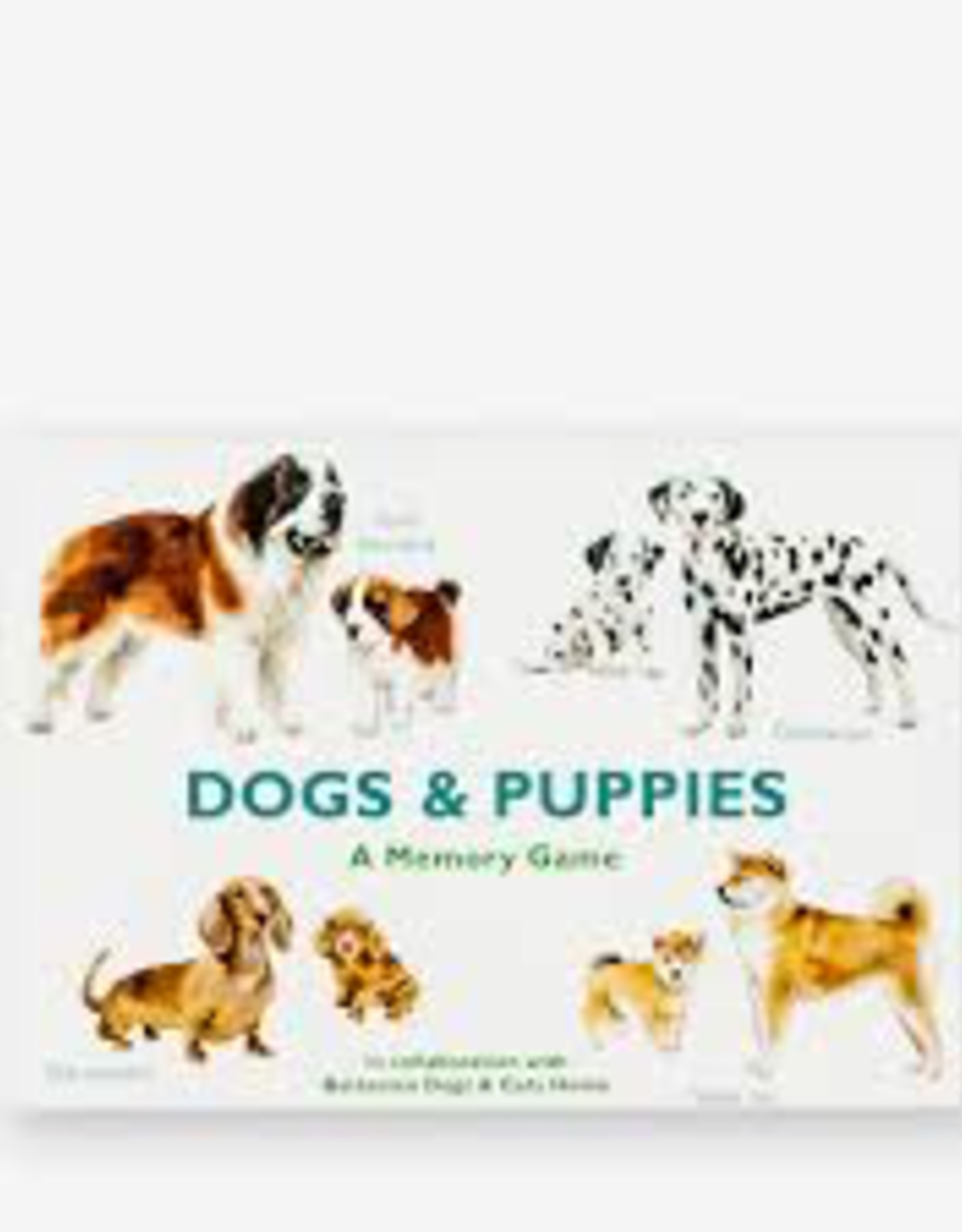 Dogs and Puppies Memory Game