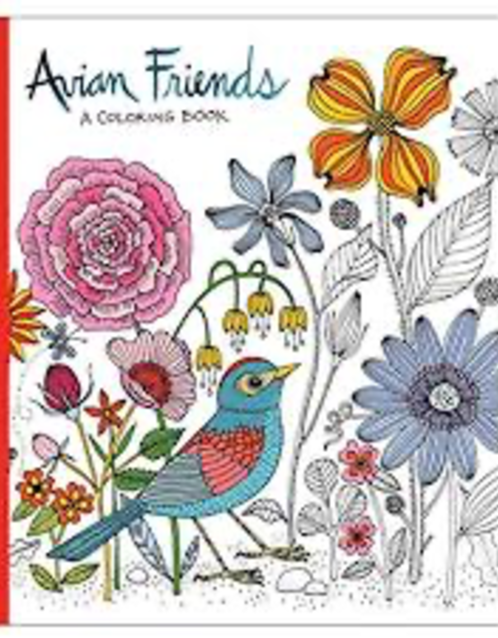 Avian Friends Colouring Book