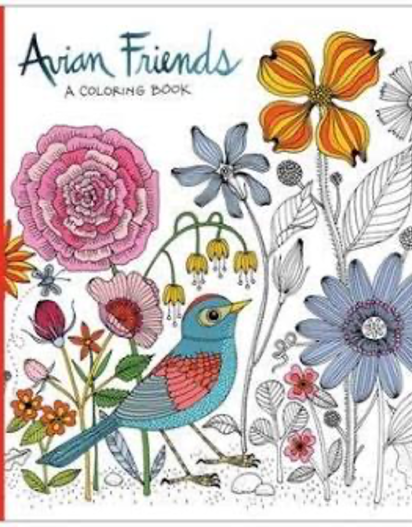Avian Friends Colouring Book