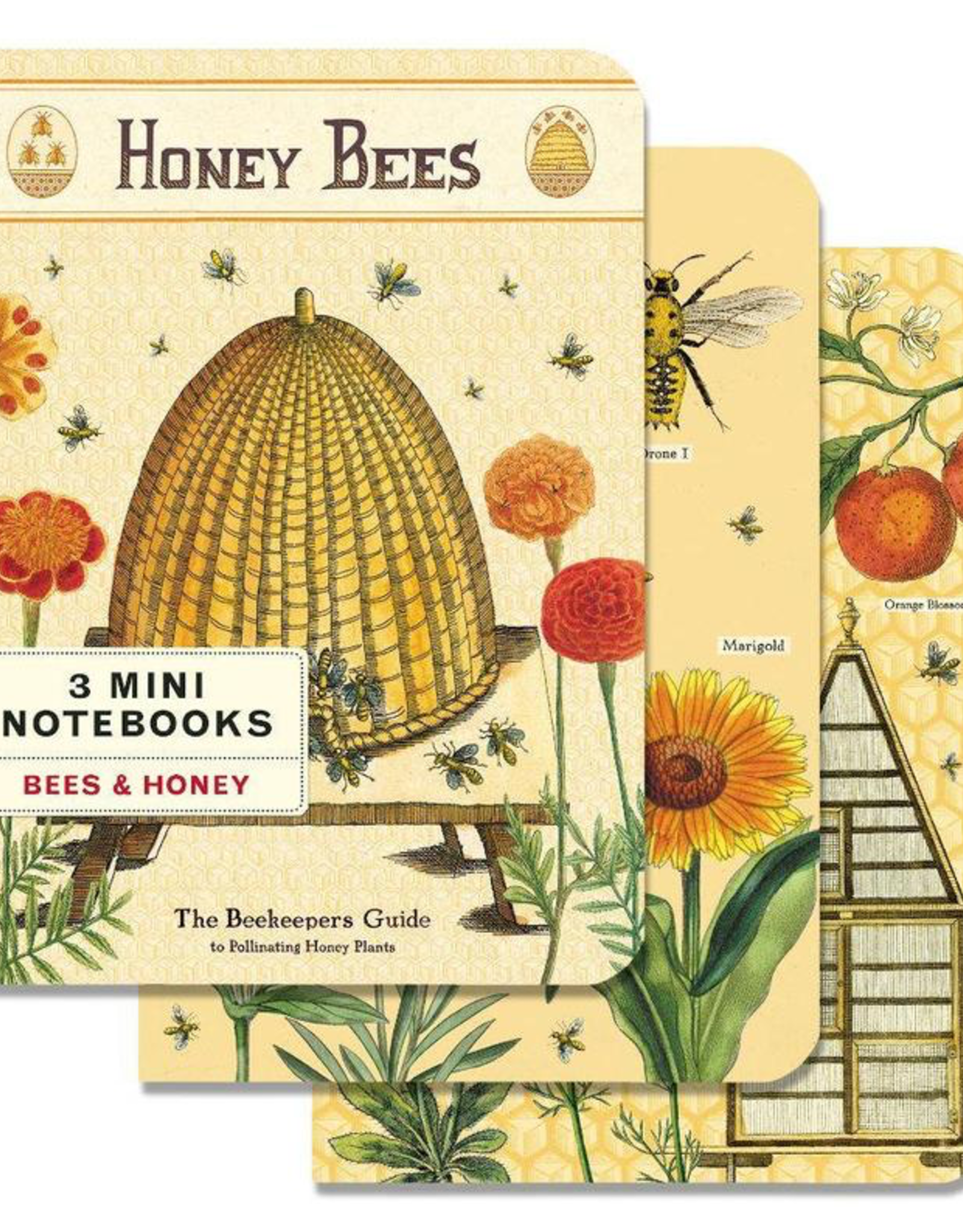 Bees & Honey Mini Notebook Set/3