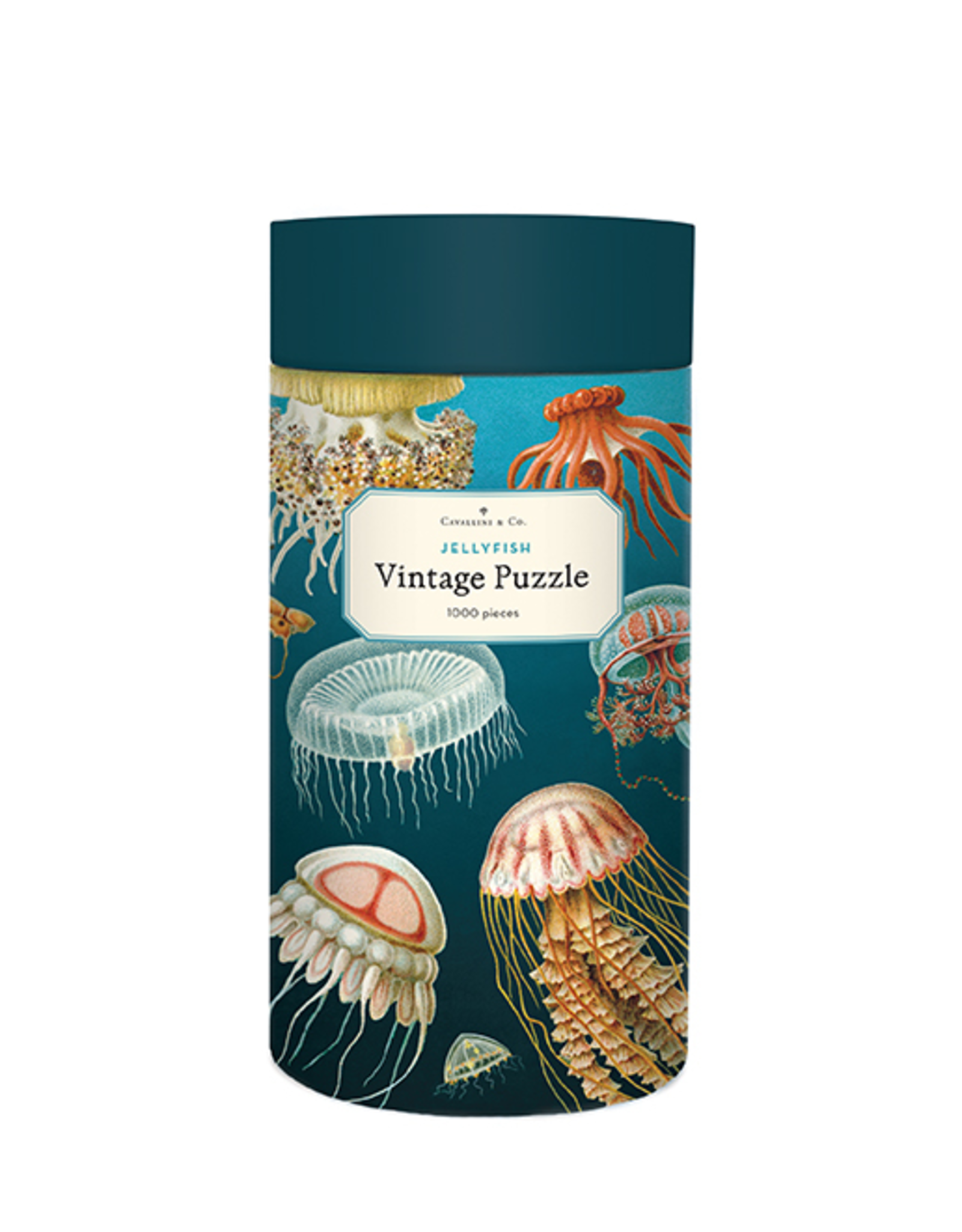Jellyfish Puzzle 1000 Pieces