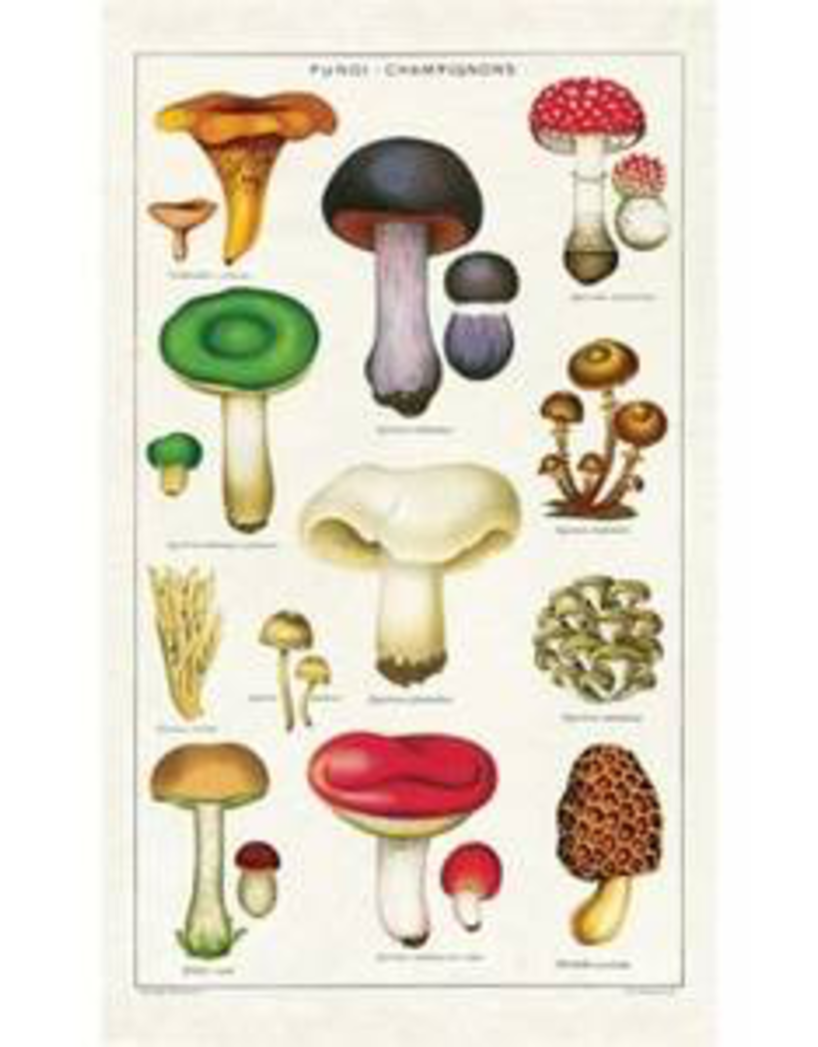 Mushrooms Tea Towel